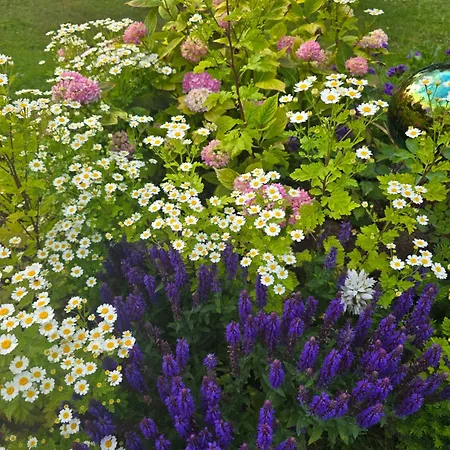 Mit Kleinem Garten Nettersheim
