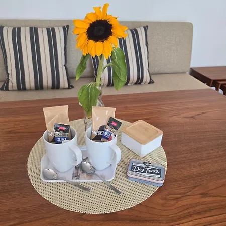 Mit Kleinem Garten Apartmán *