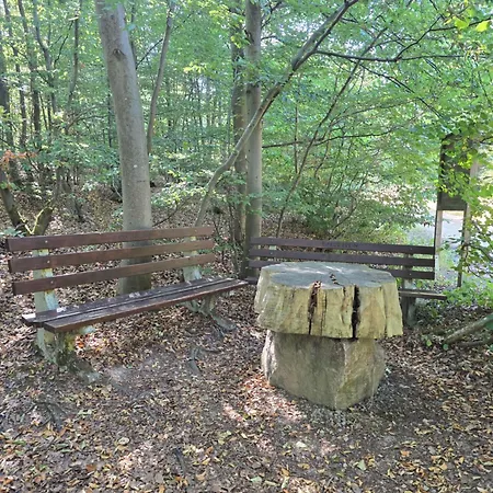 아파트 Mit Kleinem Garten Nettersheim