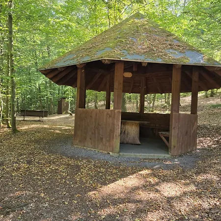 Mit Kleinem Garten 아파트 *